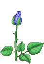 sticker_6671682_21002503