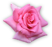 sticker_21037936_34143611