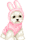 sticker_2125402_2673956