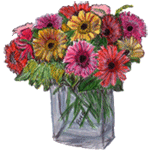 sticker_12527139_30601113