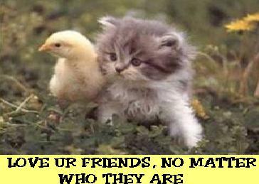 sticker_2173246_4092499