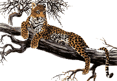 sticker_22795194_37394194
