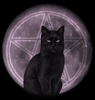 sticker_26404585_41026373