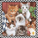sticker_24541854_37176274