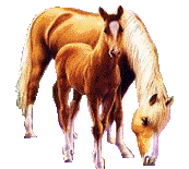 sticker_17706706_36849486
