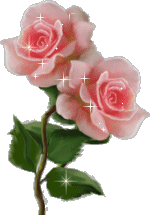 sticker_20861291_29957726