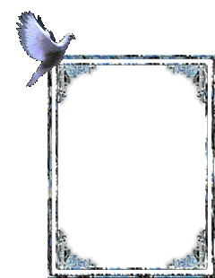 sticker_20615283_37364755