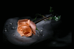 sticker_9002853_35967066