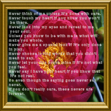 sticker_7754015_13823000