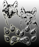 sticker_17347727_28955047