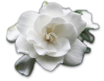 sticker_9147000_18601155