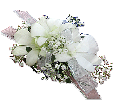 sticker_11590325_36703844