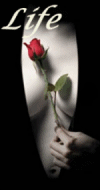 sticker_22186294_47557235
