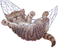 sticker_2731215_7996615