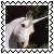 sticker_15619627_26187437
