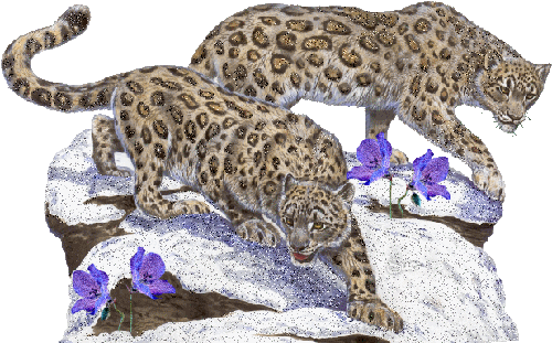 sticker_13242021_19701008