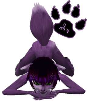 sticker_12998857_21536102