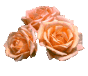 sticker_18045045_24062287