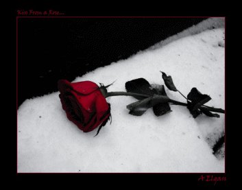 sticker_18186507_39847958