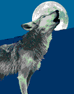 sticker_3577708_16286833