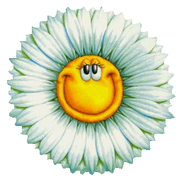 sticker_18678670_29427776