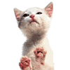 sticker_12070195_21225896
