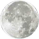 sticker_11659923_15817738