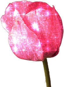 sticker_12900737_38020102