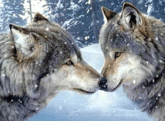 sticker_17655176_23612408