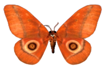 sticker_11359803_36008368