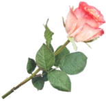 sticker_6364572_18154338