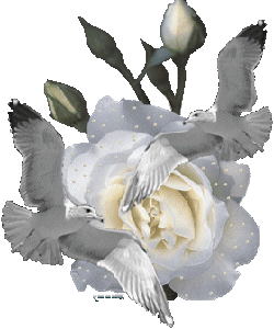 sticker_17584700_32613357