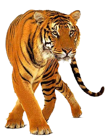 sticker_166449_1948773