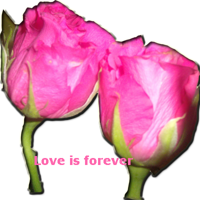 sticker_11953067_29612069
