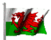 sticker_23175150_33797289