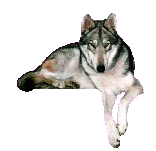 sticker_12547793_26591306