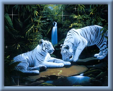 sticker_6060865_14956255