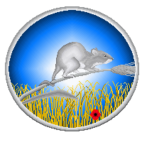 sticker_9571884_36497315