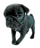 sticker_1127707_1536554