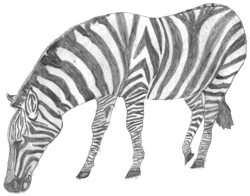 sticker_18828558_39148727
