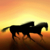 sticker_22991577_39009804