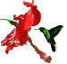 sticker_14443207_30697411