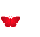 sticker_11641448_33033147