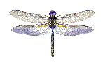 sticker_12111029_22199564