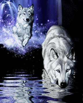 sticker_23249456_39537347