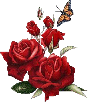 sticker_14532401_23931365