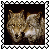 sticker_26786439_37275989