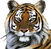 sticker_20021762_30865308