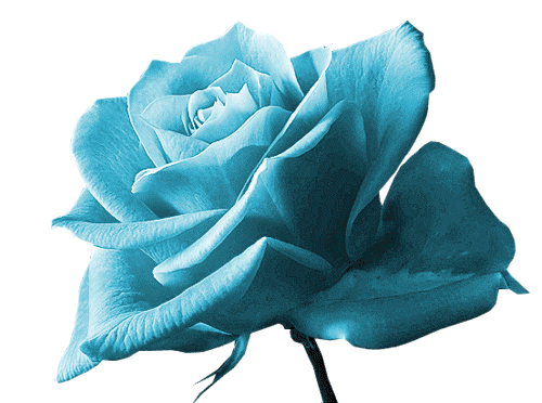 sticker_28969229_39685448