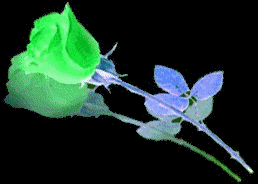 sticker_16486445_22196266